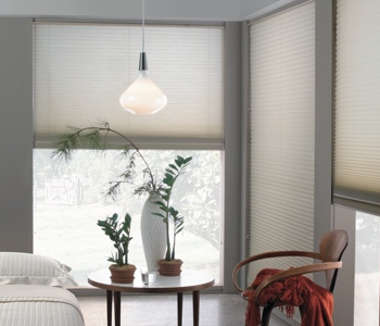 cellular shades in Chicago space